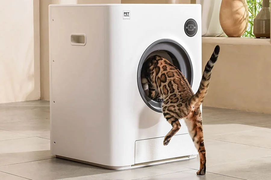automatic kitten litter box