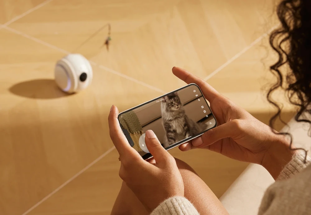 best home camera for pets